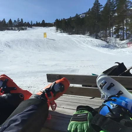 Sveingardsgutu 17b - Hytte 17b *