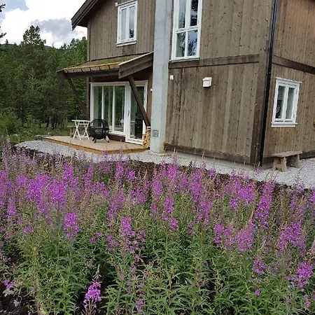 Sveingardsgutu 17b - Hytte 17b *